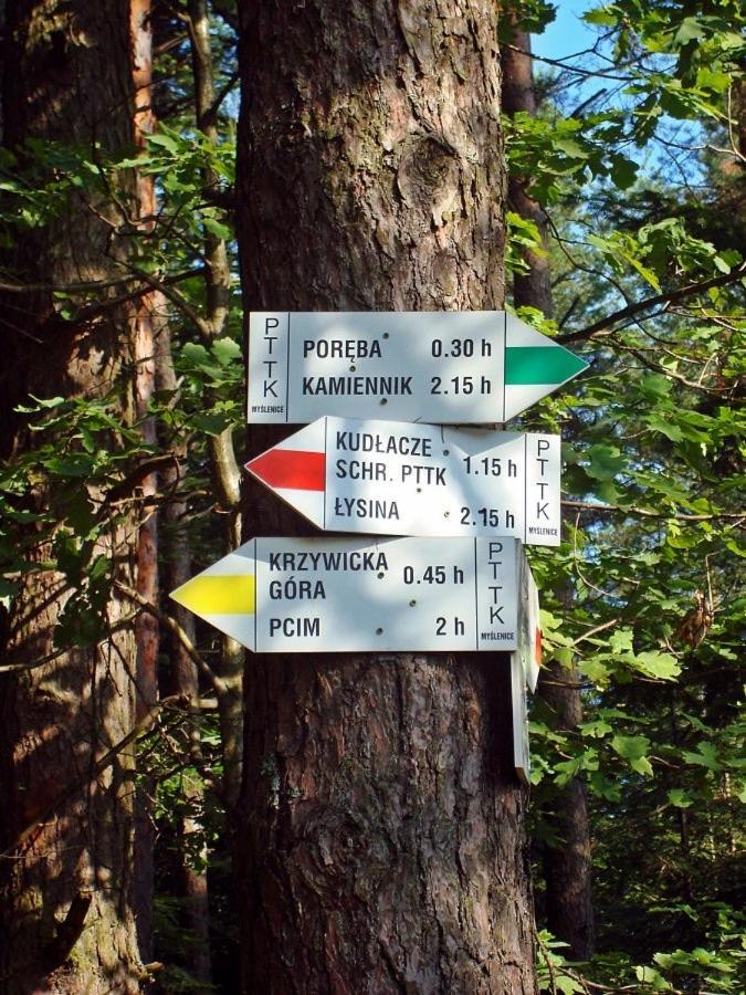 Polana Slowikowa 5 Star- Domek W Gorach Z Jacuzzi, Sauna,Basen,Ogrod Z Lasem, Kominek I Narty Stroza  Eksteriør bilde